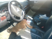 Фотография авто